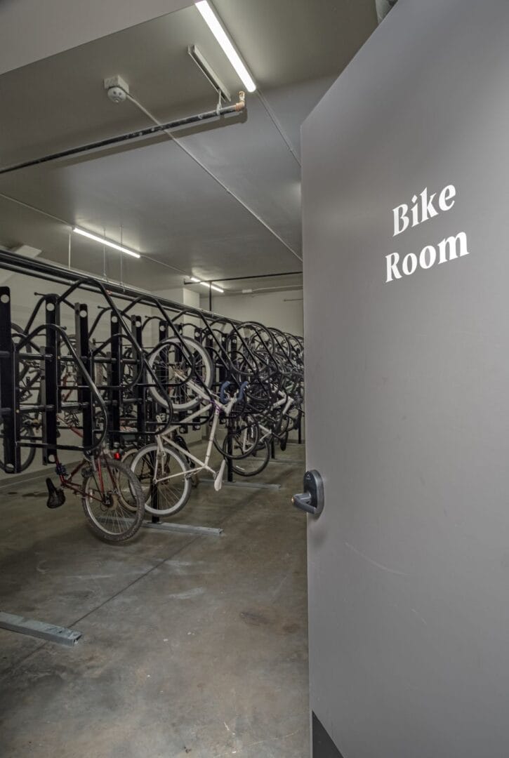 773854352-dillard2020-34